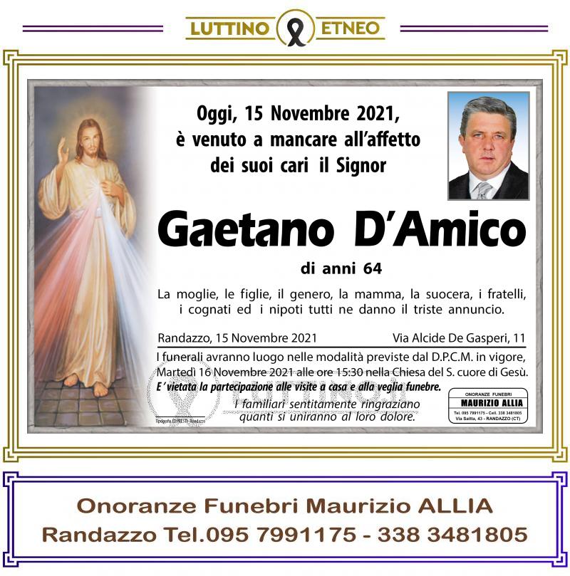 Gaetano  D'Amico 